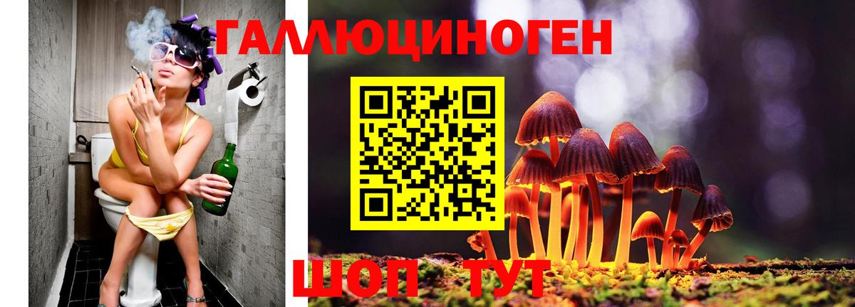 Сухой Лог  Псилоцибиновые грибы мицелий  Вход с VPN  Псилоцибиновые грибы прущие грибы 